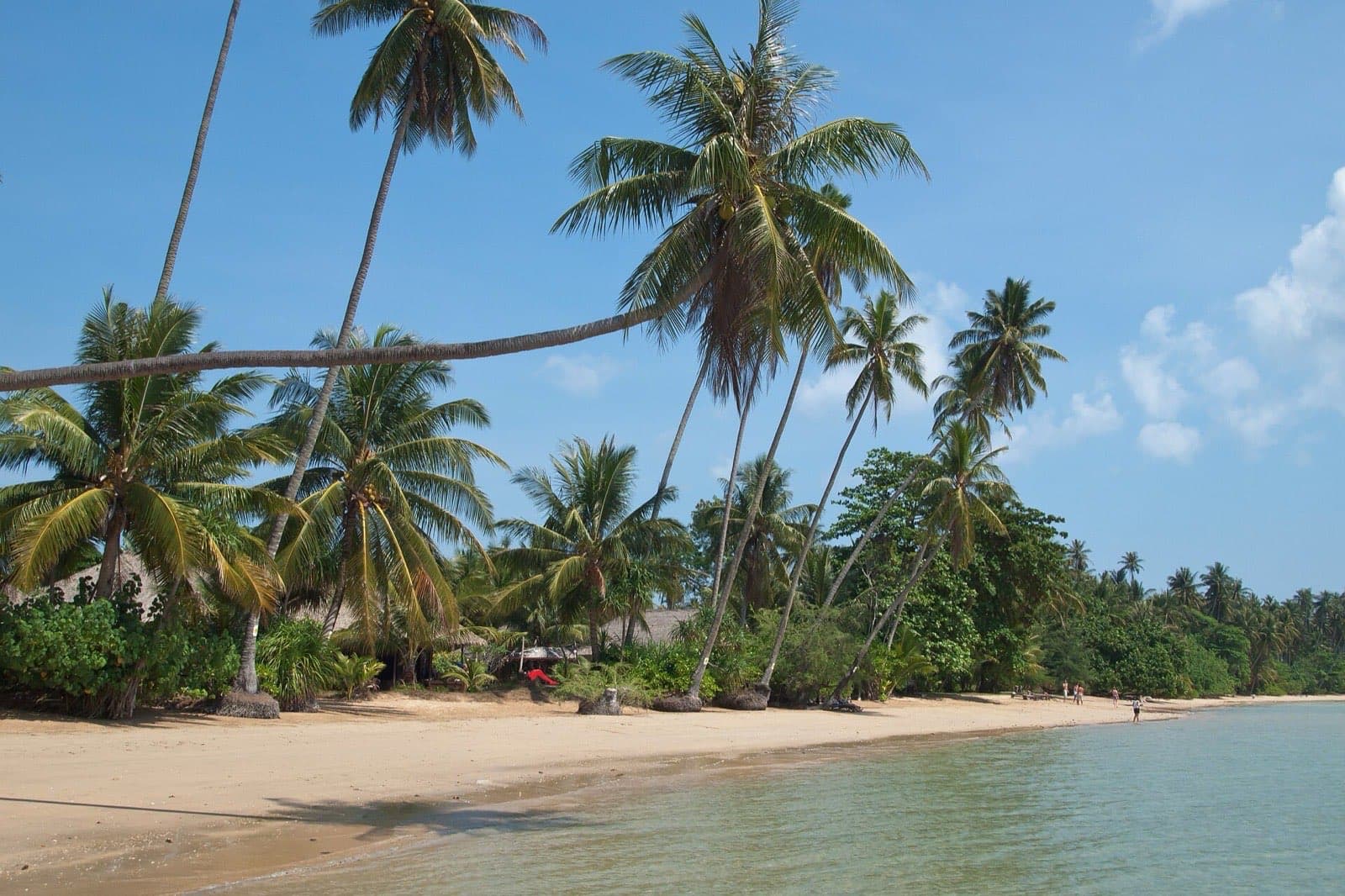 Palm trees leaning over a white-sand beach in Thailand